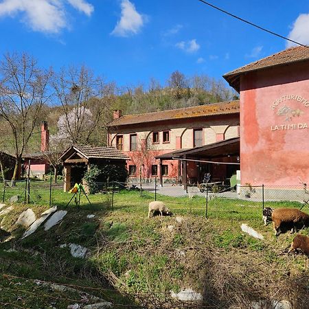 Agriturismo La.Ti.Mi.Da. Cassine Exteriér fotografie