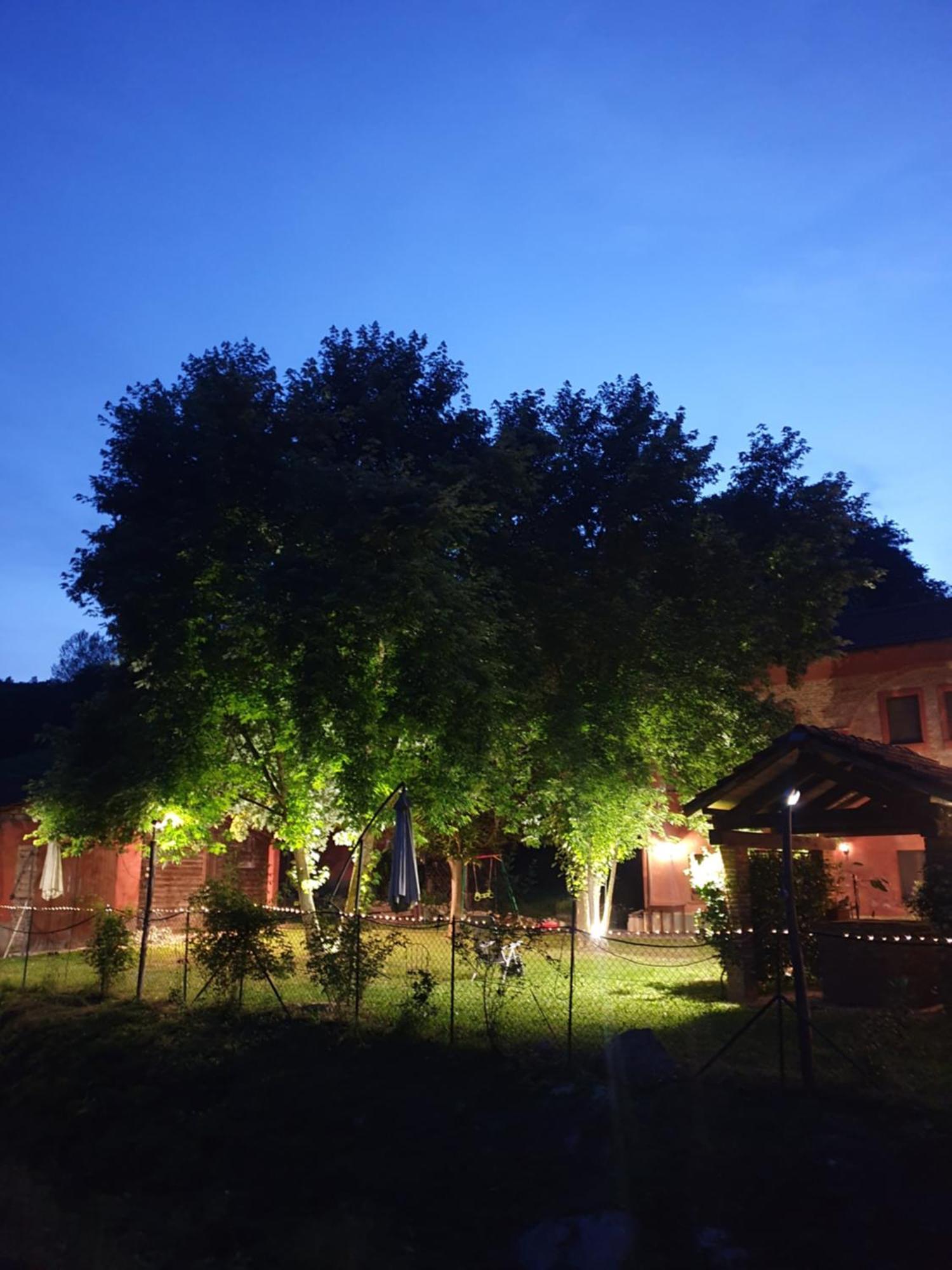 Agriturismo La.Ti.Mi.Da. Cassine Exteriér fotografie