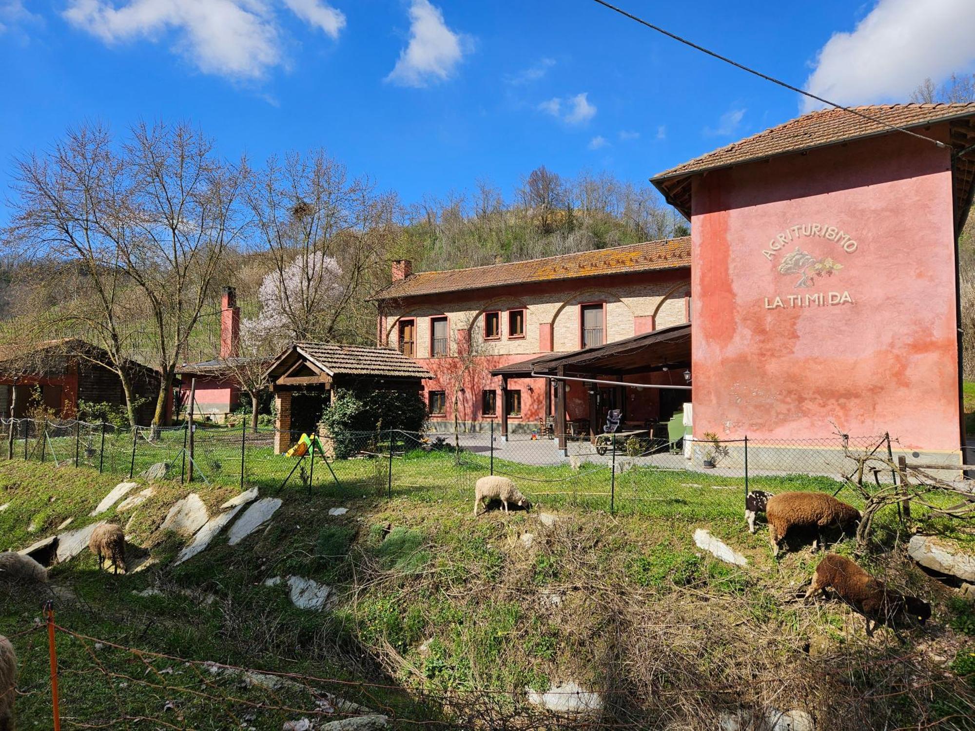 Agriturismo La.Ti.Mi.Da. Cassine Exteriér fotografie