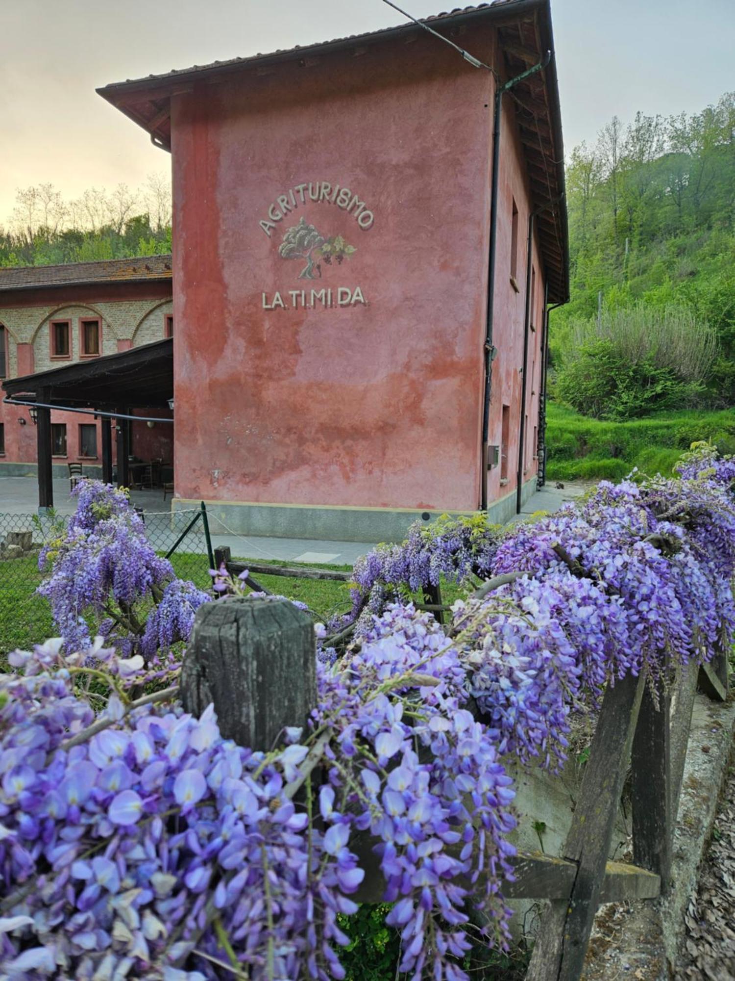 Agriturismo La.Ti.Mi.Da. Cassine Exteriér fotografie