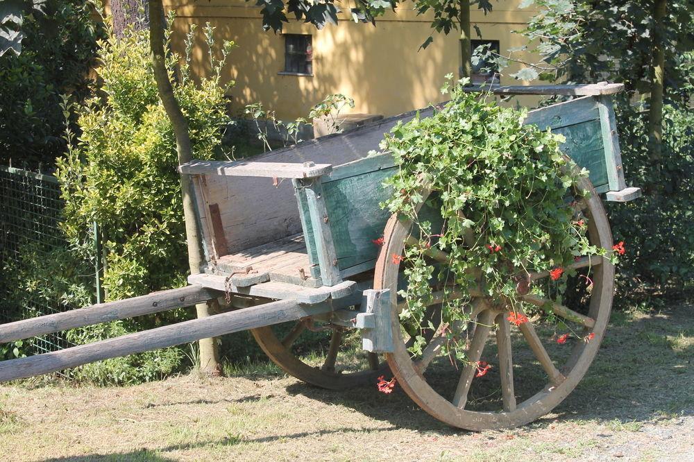 Agriturismo La.Ti.Mi.Da. Cassine Exteriér fotografie